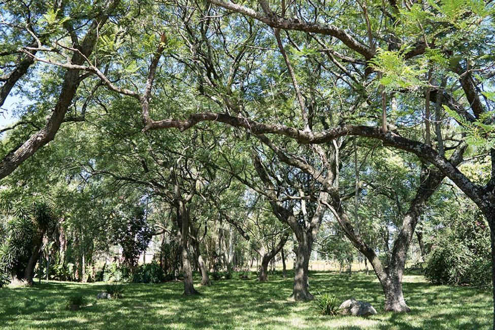 Estância Timbaúva Uruguaiana Exterior foto